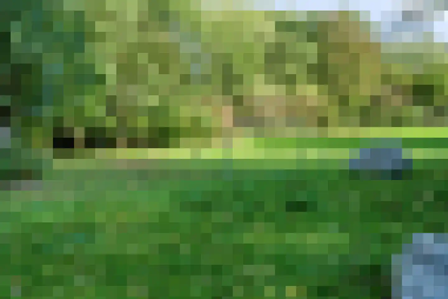 Karolingersweg 38 Wijk bij Duurstede thumbnail 47