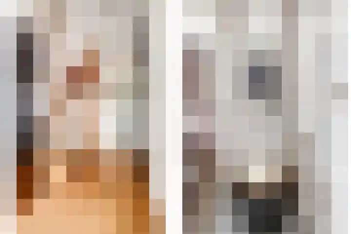 Karolingersweg 6 Wijk bij Duurstede thumbnail 12