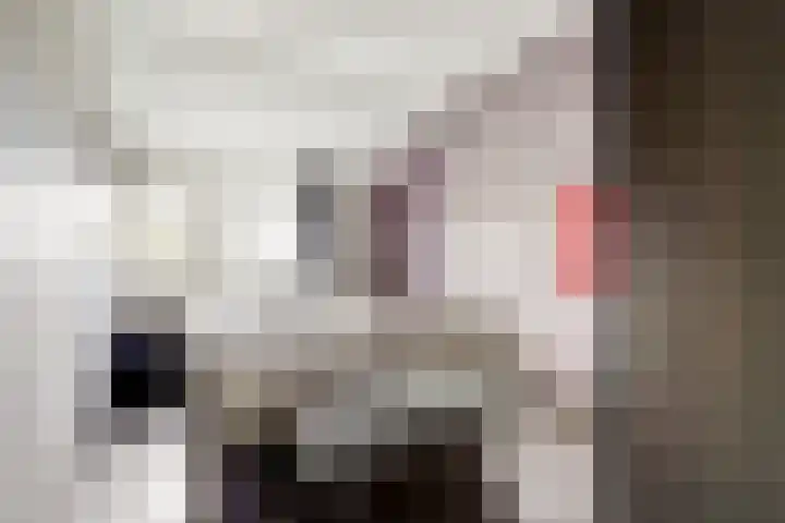 Karolingersweg 6 Wijk bij Duurstede thumbnail 14