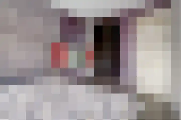 Karolingersweg 6 Wijk bij Duurstede thumbnail 15