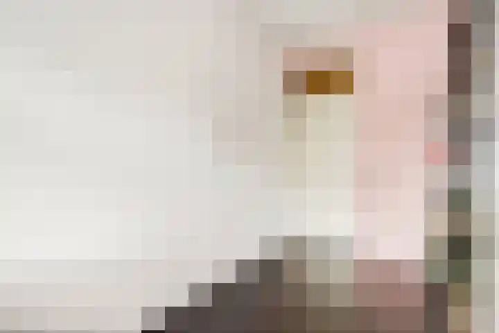 Karolingersweg 6 Wijk bij Duurstede thumbnail 17