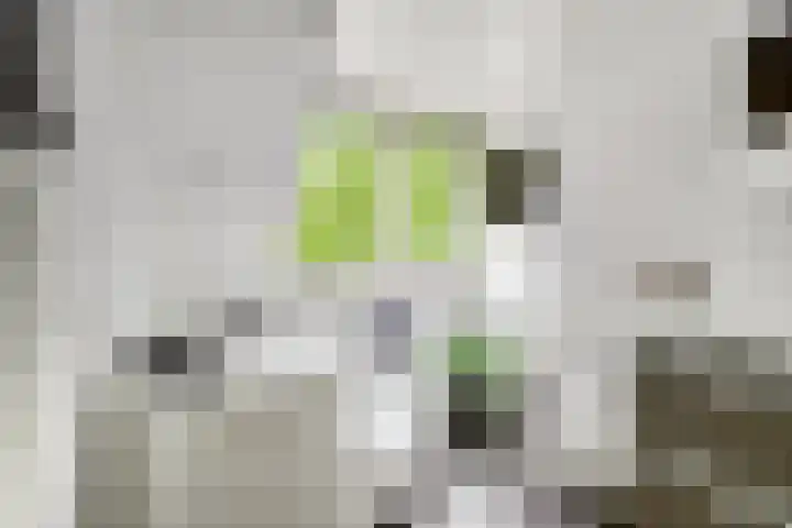 Karolingersweg 6 Wijk bij Duurstede thumbnail 20