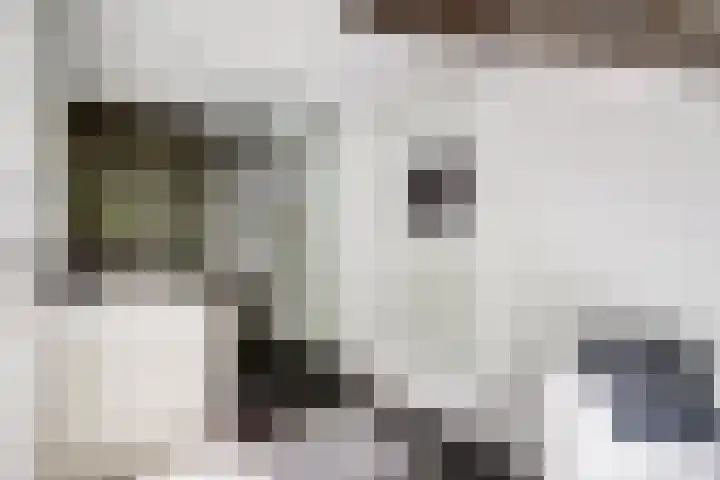 Karolingersweg 6 Wijk bij Duurstede thumbnail 21