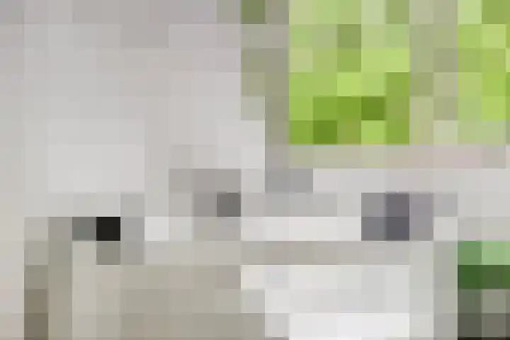 Karolingersweg 6 Wijk bij Duurstede thumbnail 22