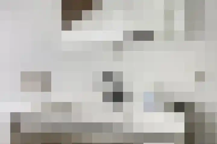 Karolingersweg 6 Wijk bij Duurstede thumbnail 23