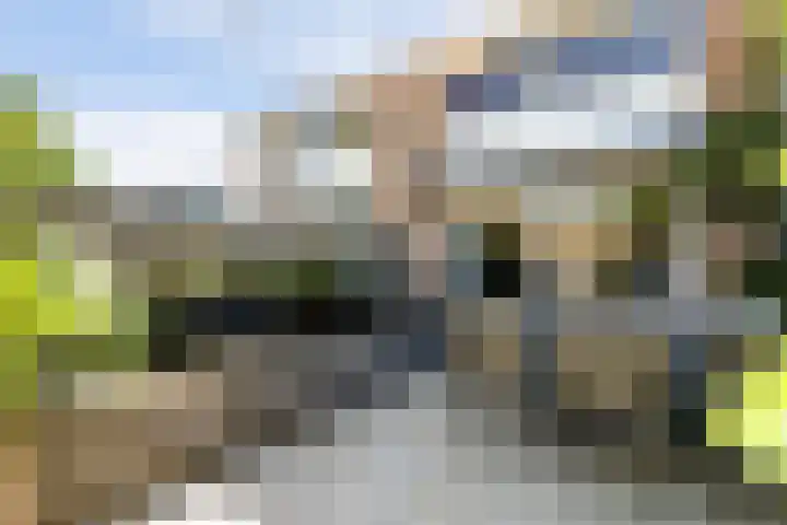 Karolingersweg 6 Wijk bij Duurstede thumbnail 27