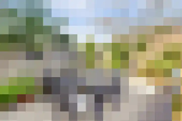 Karolingersweg 6 Wijk bij Duurstede thumbnail 28
