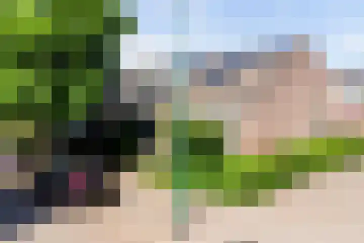 Karolingersweg 6 Wijk bij Duurstede thumbnail 31