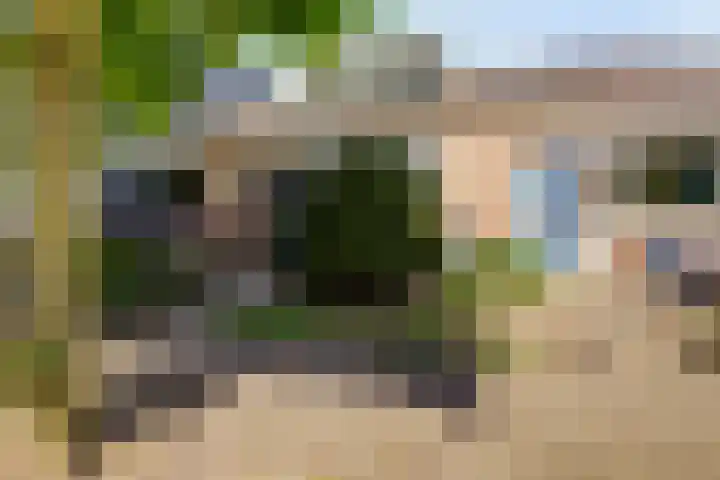Karolingersweg 6 Wijk bij Duurstede thumbnail 33
