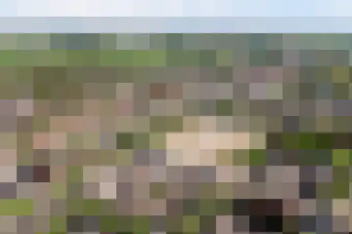 Karolingersweg 6 Wijk bij Duurstede thumbnail 35