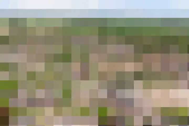 Karolingersweg 6 Wijk bij Duurstede thumbnail 36