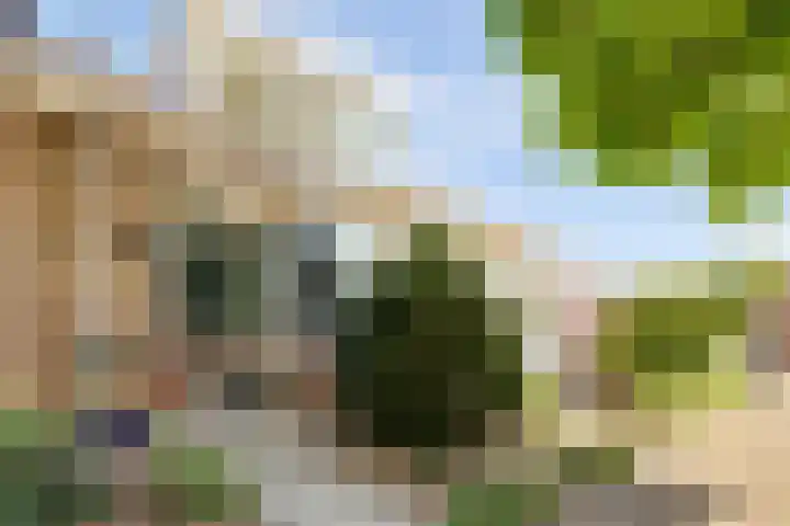 Karolingersweg 6 Wijk bij Duurstede thumbnail 39