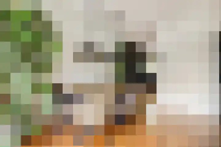Karolingersweg 6 Wijk bij Duurstede thumbnail 6