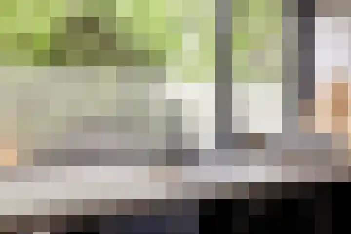 Karolingersweg 6 Wijk bij Duurstede thumbnail 8