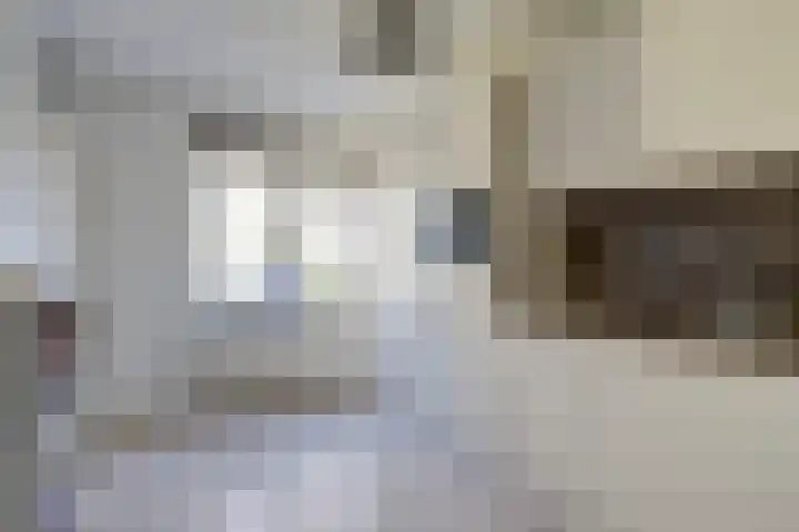 Karolingersweg 62 b Wijk bij Duurstede thumbnail 11