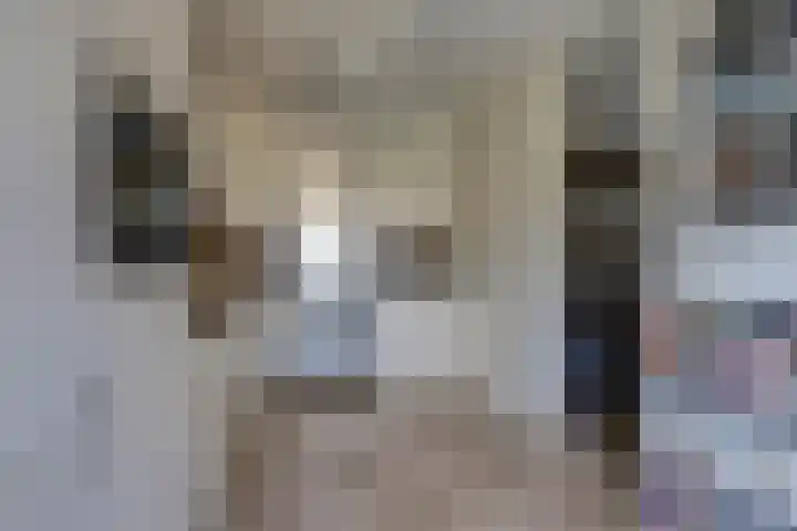 Karolingersweg 62 b Wijk bij Duurstede thumbnail 12