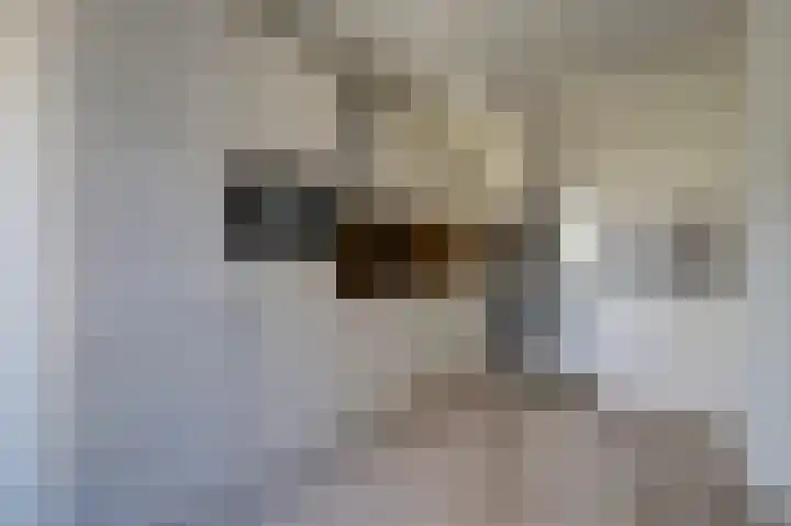 Karolingersweg 62 b Wijk bij Duurstede thumbnail 13