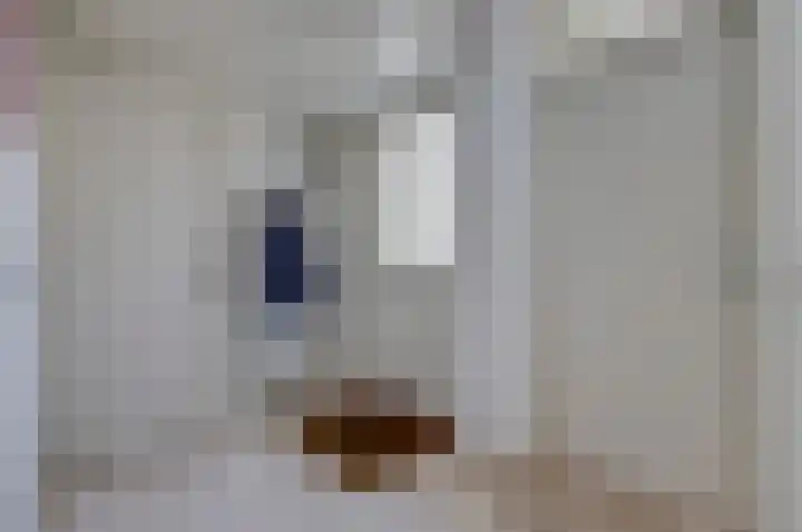 Karolingersweg 62 b Wijk bij Duurstede thumbnail 17