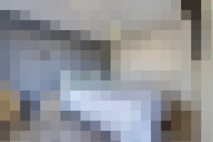 Karolingersweg 62 b Wijk bij Duurstede thumbnail 19
