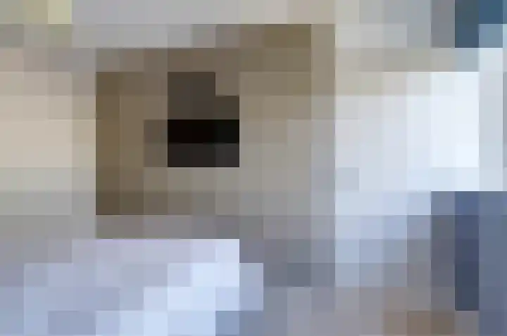 Karolingersweg 62 b Wijk bij Duurstede thumbnail 20