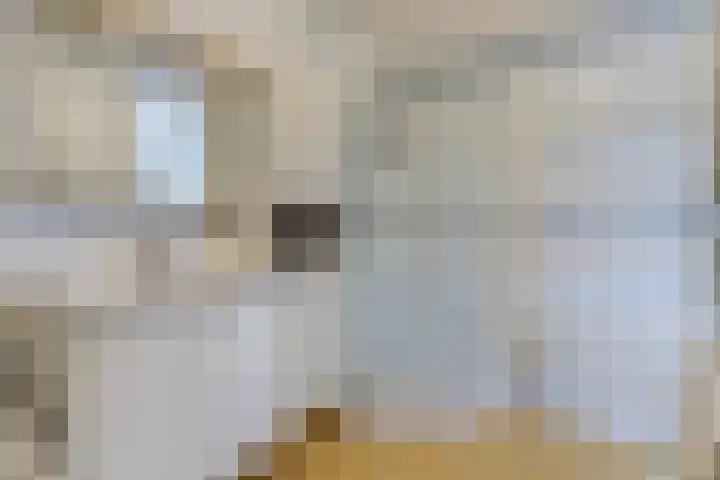 Karolingersweg 62 b Wijk bij Duurstede thumbnail 25