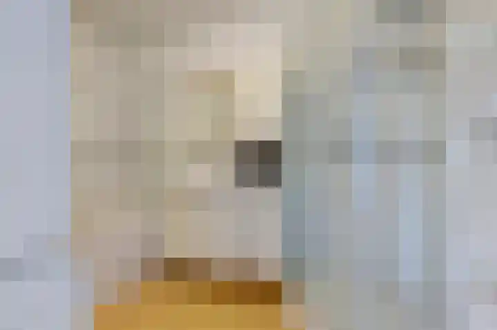 Karolingersweg 62 b Wijk bij Duurstede thumbnail 27