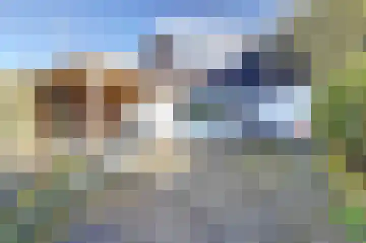 Karolingersweg 62 b Wijk bij Duurstede thumbnail 31