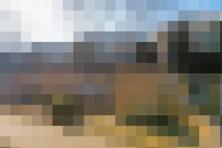 Karolingersweg 62 b Wijk bij Duurstede thumbnail 36