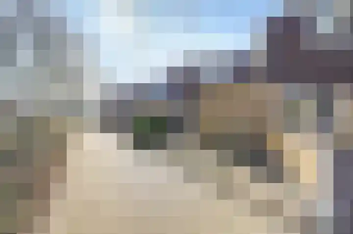 Karolingersweg 62 b Wijk bij Duurstede thumbnail 37