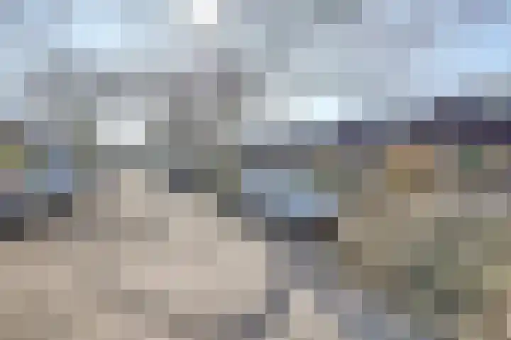 Karolingersweg 62 b Wijk bij Duurstede thumbnail 38