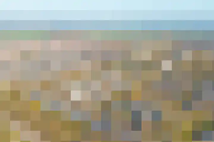 Karolingersweg 62 b Wijk bij Duurstede thumbnail 44