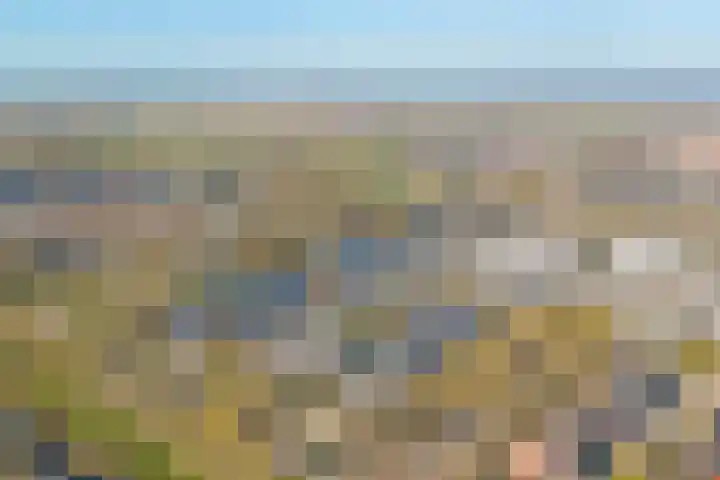 Karolingersweg 62 b Wijk bij Duurstede thumbnail 46