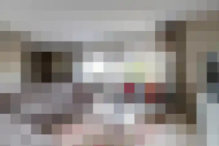 Karolingersweg 62 b Wijk bij Duurstede thumbnail 5