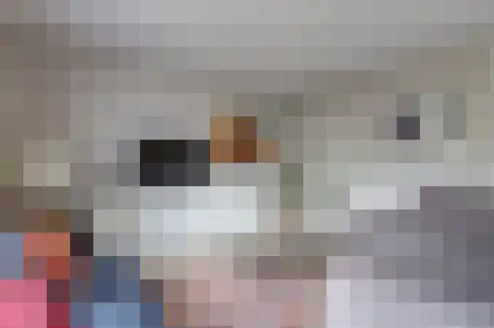 Karolingersweg 62 b Wijk bij Duurstede thumbnail 7