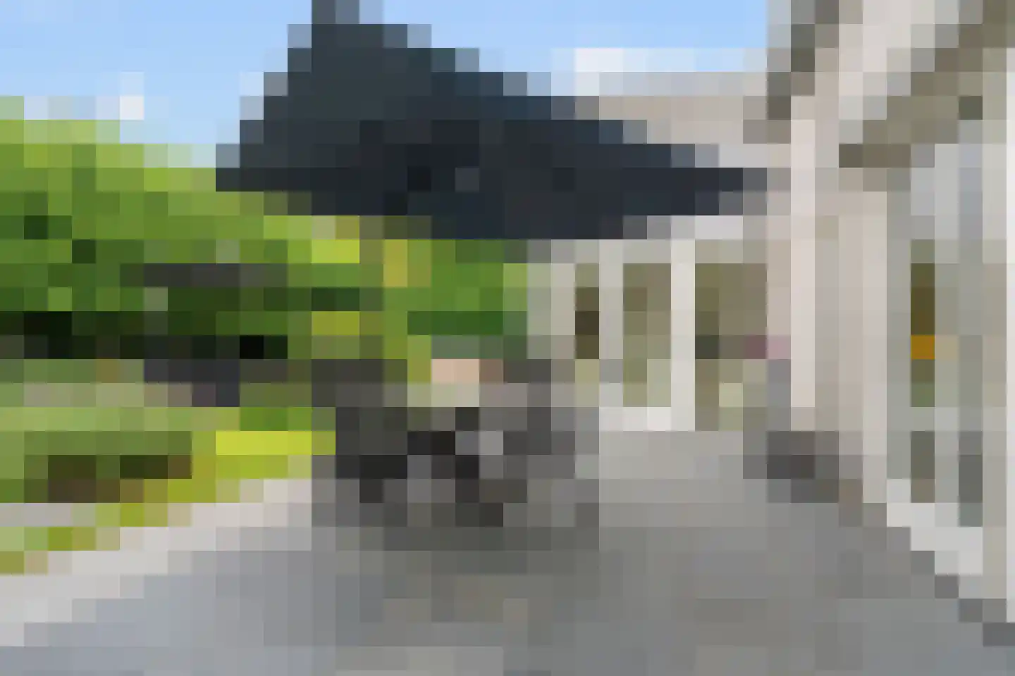 Karolusguldenstraat 14 's-Hertogenbosch thumbnail 22