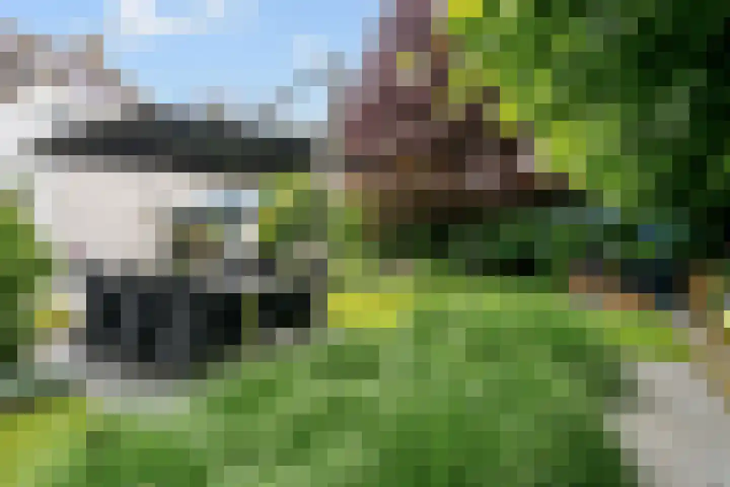 Karolusguldenstraat 14 's-Hertogenbosch thumbnail 24