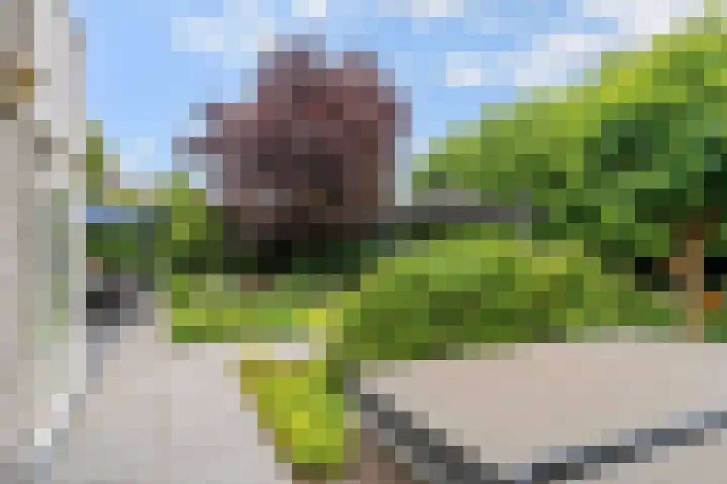 Karolusguldenstraat 14 's-Hertogenbosch thumbnail 27