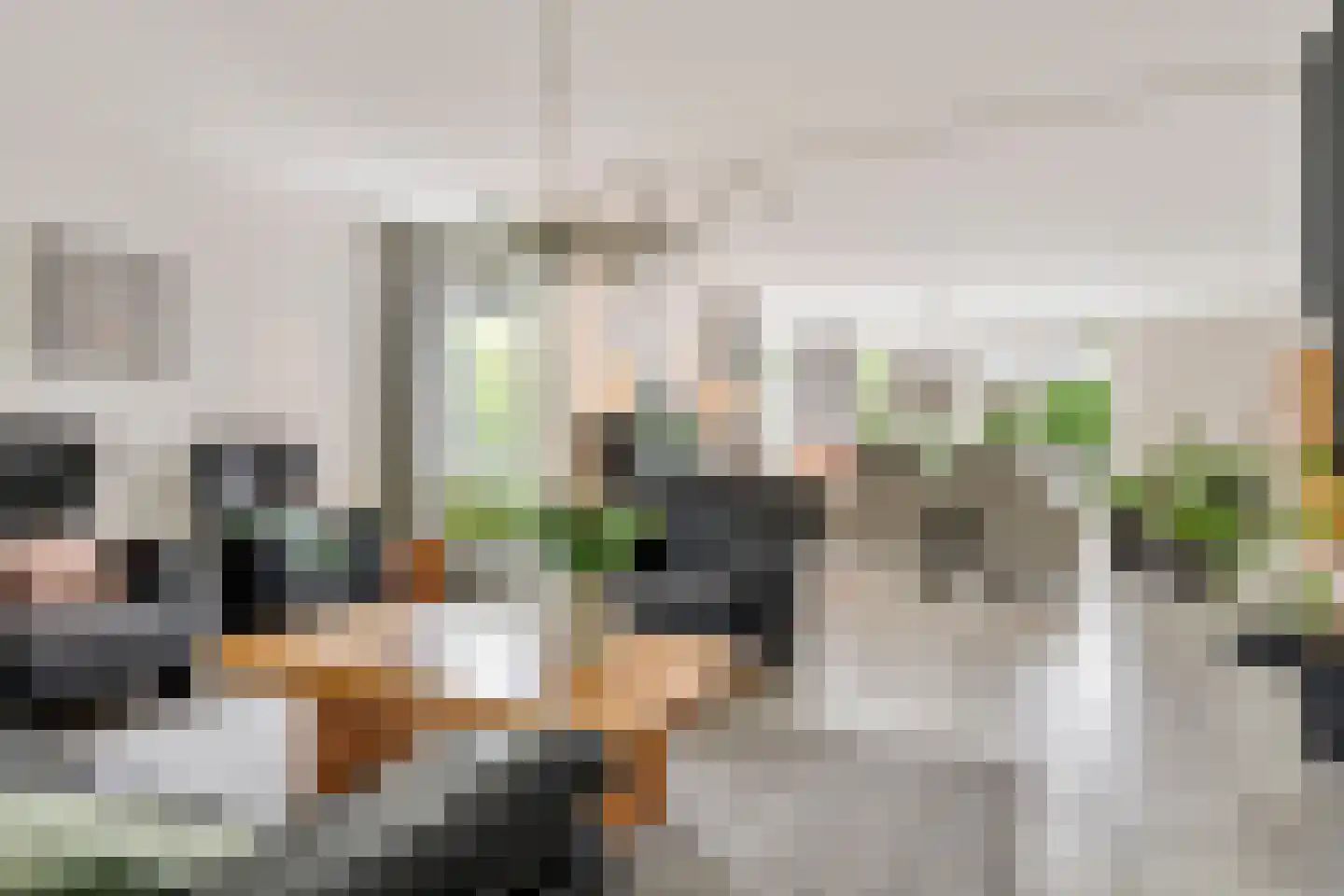 Karolusguldenstraat 14 's-Hertogenbosch thumbnail 4