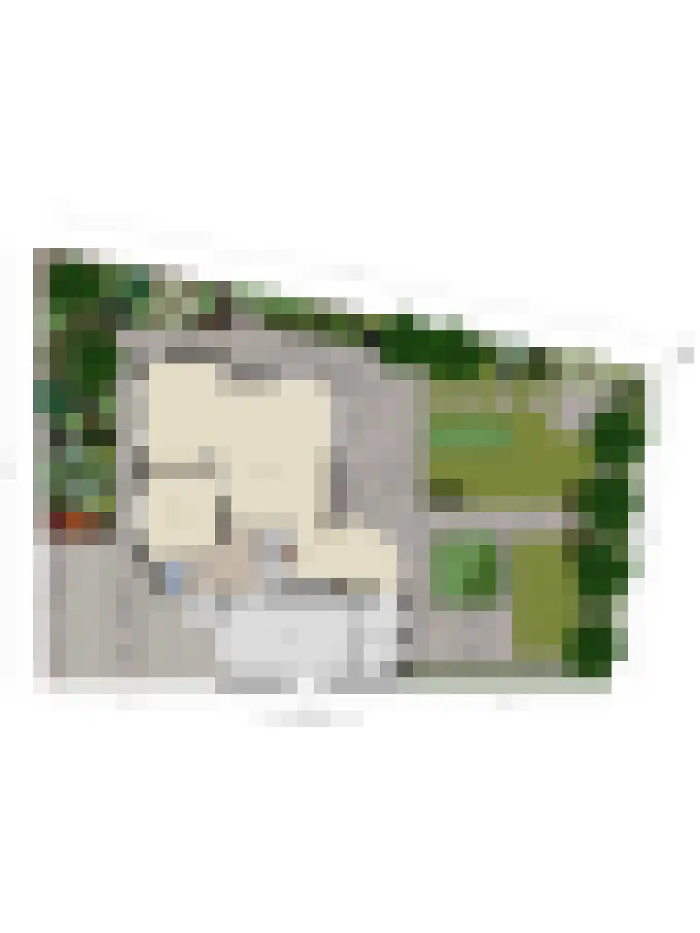 Karolusguldenstraat 14 's-Hertogenbosch thumbnail 56