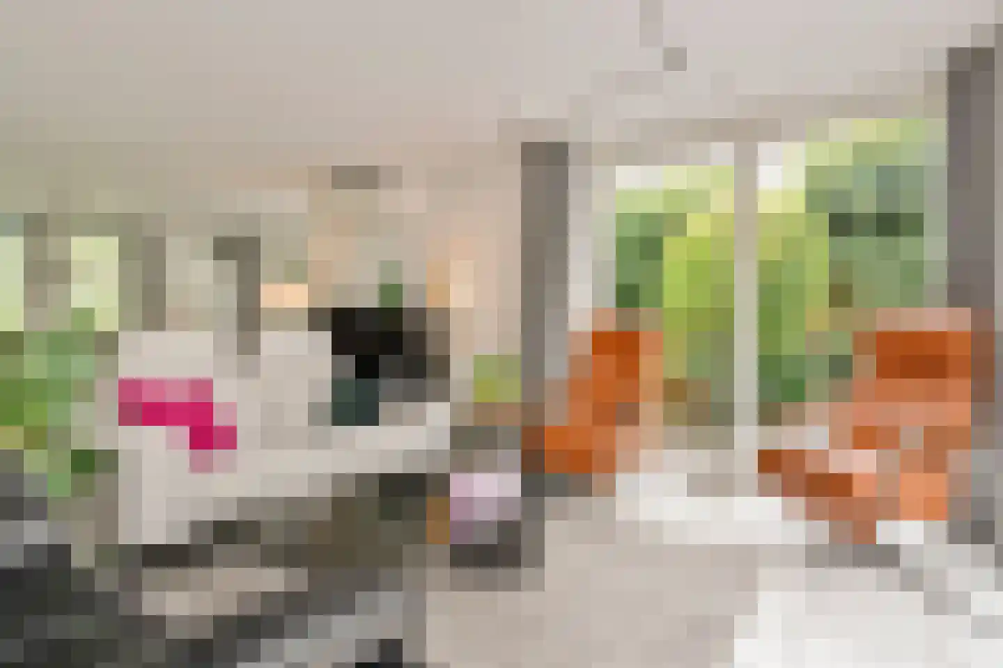 Karolusguldenstraat 14 's-Hertogenbosch thumbnail 7