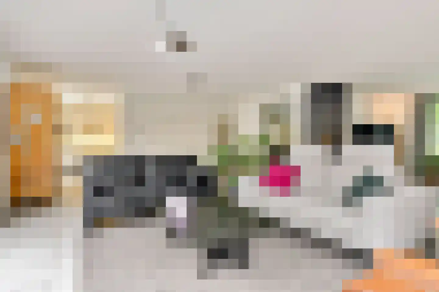 Karolusguldenstraat 14 's-Hertogenbosch thumbnail 8