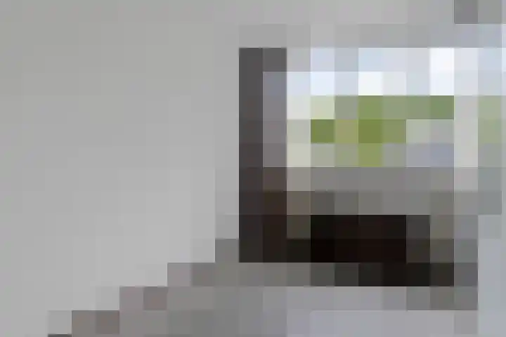 Karos 18 Hoorn thumbnail 11