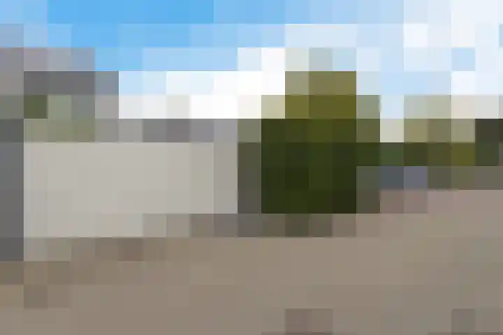 Karos 18 Hoorn thumbnail 24