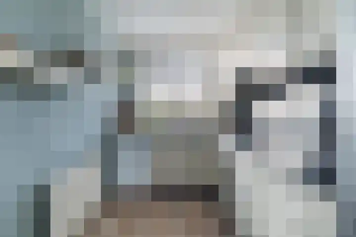 Karos 2 Sassenheim thumbnail 14