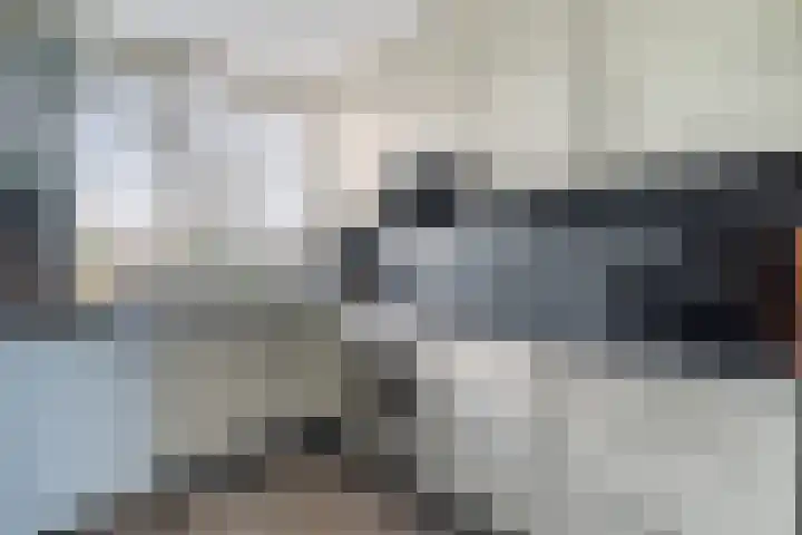 Karos 2 Sassenheim thumbnail 15
