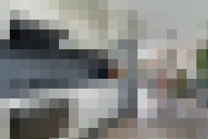 Karos 2 Sassenheim thumbnail 16