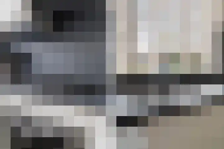 Karos 2 Sassenheim thumbnail 17
