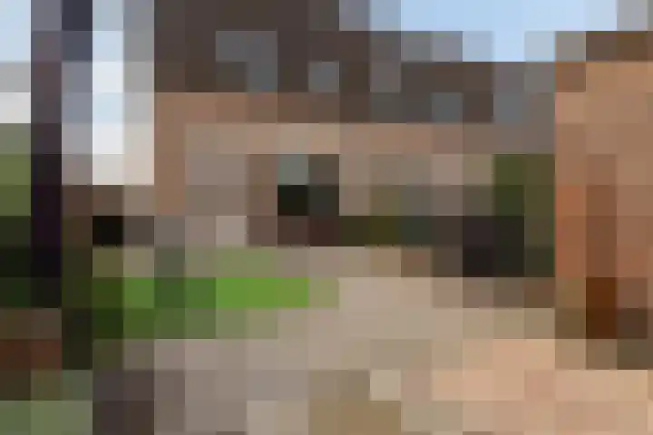 Karos 2 Sassenheim thumbnail 38