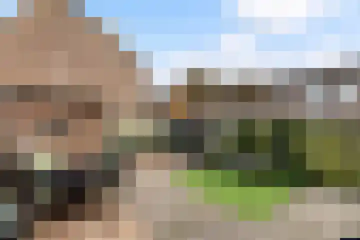 Karos 2 Sassenheim thumbnail 39