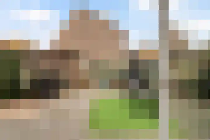 Karos 2 Sassenheim thumbnail 40